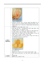 간호학 성전파성 질환-5