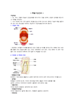 특별 구강 간호-1