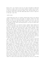 낙태와 안락사 허용에 대한 제언1-11