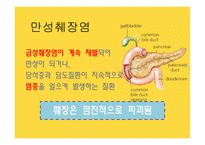 간호학 만성췌장염-3