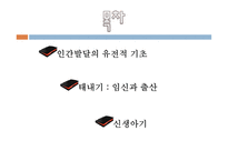 태내기와 신생아기-2