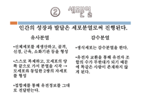 태내기와 신생아기-5
