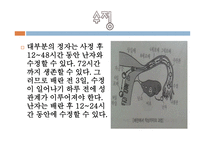 태내기와 신생아기-14