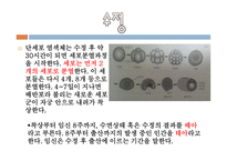 태내기와 신생아기-15