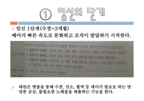 태내기와 신생아기-18
