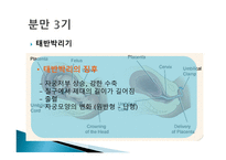 간호학 분만 기간호-3