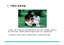 간호학 가족간호의 이해-2