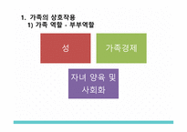 간호학 가족간호의 이해-3