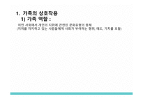 간호학 가족간호의 이해-4