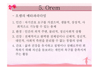 정신건강 간호이론-20