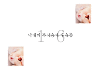 낙태 허용 문제-13