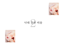 낙태 허용 문제-15