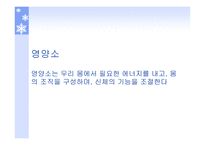 비만 의식이 요법-20