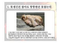비만 레포트-4