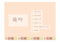 간호학 무의식 간호-2
