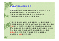 질병과 영양 레포트-13