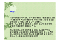 질병과 영양 레포트-15