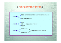 보건의료조직에 있어서의 인간과 컴퓨터 상호작용-12