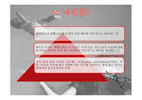 낙태 레포트-2