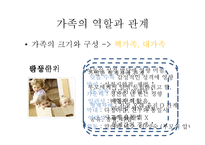 아동간호에 영향을 미치는 가족과 부모의 역할-8