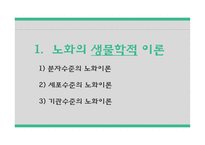 간호학 노화이론 생물학적 이론 심리적 이론 사회문화적 이론-3