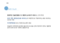 간호학 당뇨병 태생리-5