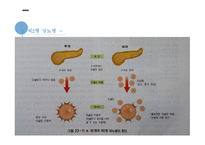 간호학 당뇨병 태생리-7