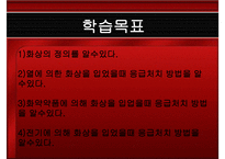 응급처치 화상 레포트-2