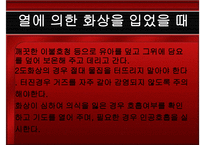 응급처치 화상 레포트-12