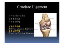십자인대 손상 원인과 예방 및 재활방법-4