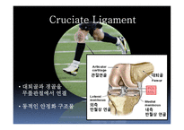 십자인대 손상 원인과 예방 및 재활방법-5