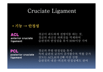 십자인대 손상 원인과 예방 및 재활방법-6