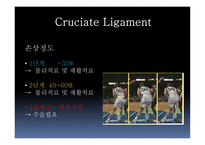 십자인대 손상 원인과 예방 및 재활방법-9
