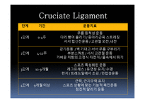 십자인대 손상 원인과 예방 및 재활방법-15