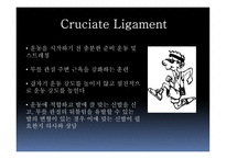 십자인대 손상 원인과 예방 및 재활방법-17