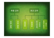 미국 영국 한국의 의료보험-11