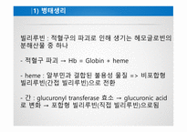간호학 고빌리루빈 혈증-4
