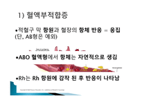 간호학 고빌리루빈 혈증과 간호 용혈성 질환-4