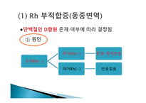간호학 고빌리루빈 혈증과 간호 용혈성 질환-5
