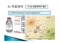 간호학 고빌리루빈 혈증과 간호 용혈성 질환-16
