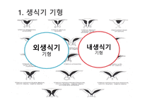 간호학 생식기 구조이상 생식기 기형 성선 발육장애 자궁의 위치 이상-3