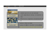 간호학 비뇨기계 질환 결석 외상 혈관성 질환-4
