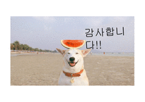 간호학 비뇨기계 질환 결석 외상 혈관성 질환-13
