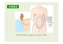 간호학 산전관리-5