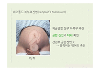 간호학 산전관리-10