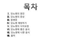 당뇨병 예방 과식이 요법-2