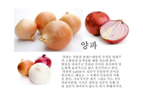 당뇨병 예방 과식이 요법-15
