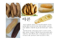 당뇨병 예방 과식이 요법-17