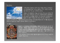 질병과 노화의 비밀 죽음의 의미-7
