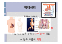 간호학 문맥 성고 혈압 과식 도정 맥류 간호-3
